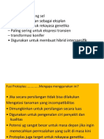 5.fusi Protoplas4