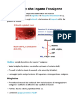 Proteine Che Legano L'ossigeno