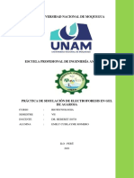 Práctica de Simulación de Electroforesis en Gel de Agarosa