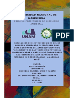 Informe N°03 - Simulación de Electroforesis en Gel de Agarosa