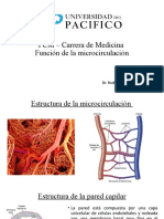 Microcirculacion