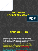 Sukarman (2002501010054) Nekropsi Pada Mamalia