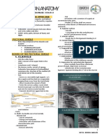 Upper Limb Trans