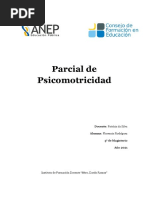Parcial de Psicomotricidad - 2021