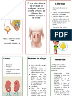 Folleto Ivus