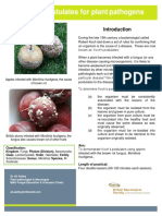 POSTULADOS GUIA - Ashby - BMS - Koch's Postulates For Plant Pathogens