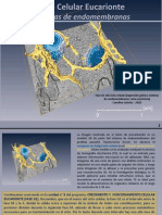 Unidad 3 - G1 Sistema de Endomembranas 2020