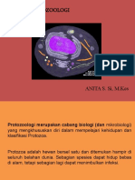 Protozoologi