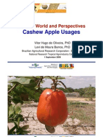 Cashew World and Perspectives P