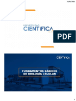 Semana 1 - Sesión 1 - Fundamentos Básicos de BC - Alum