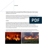 Contaminación Por Incendios Forestales