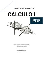 Práctica Cálculo 1