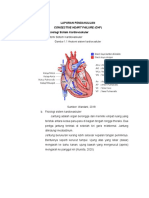 Anatomi Jantung Sinta