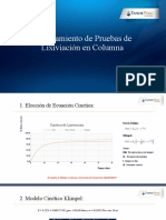 Tahoe Perú Shahuindo - Modelamiento de Pruebas de Lixiviación en Columna