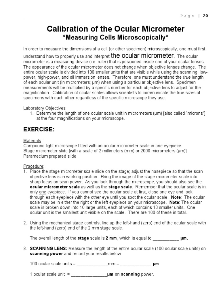 Calibration Ocular Micrometer PDF Glass Applications Laboratory