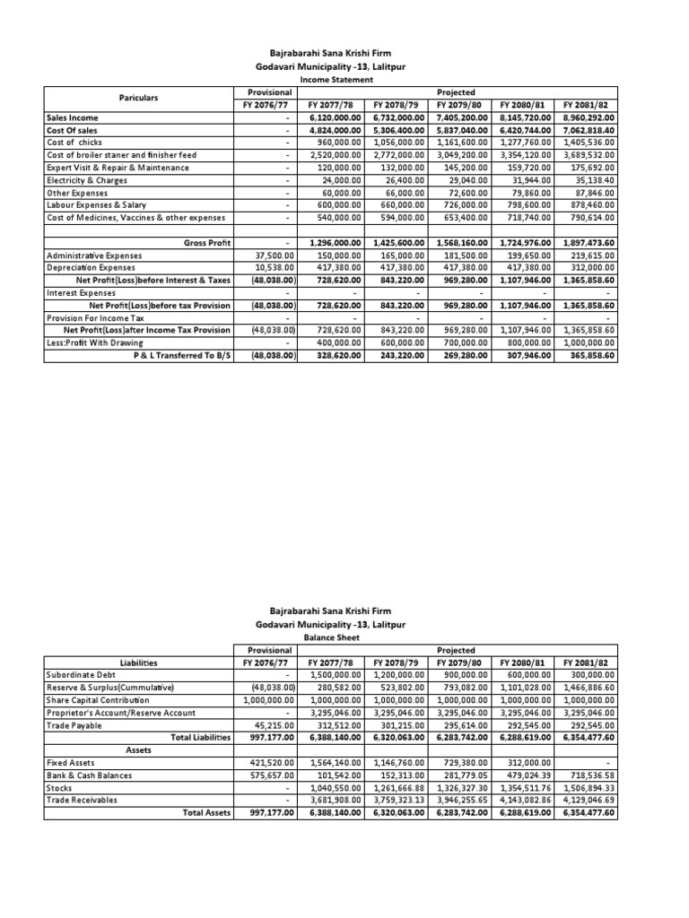 projected-financial-statements-and-capital-requirement-analysis-for