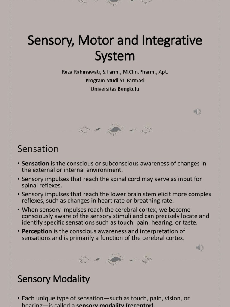 Sensory, Motor, and Integrative System PDF Senses Somatosensory
