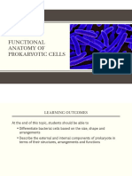 Functional Anatomy of Prokaryotic Cells