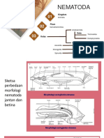 Materi Image Untuk Nematoda 1