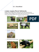 Fauna Di Indonesia