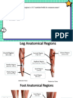 Which anatomical body region is NOT matched with its common name