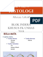 2e. Histologi Mata Sistem Indera Khusus