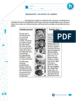 Articles-30933 Recurso Doc