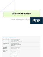Veins of The Brain Veins of The Brain: Wahyu Prasasti Mutiadesi, DR., M. Biomed