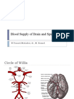 Blood Supply of Brain and Spinal Cord: W Prasasti Mutiadesi, DR., M. Biomed