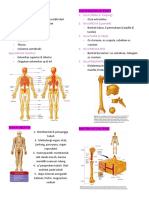 OSTEOLOGI