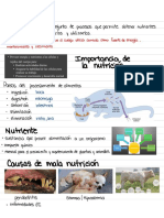 Repaso Nutrición Animal - TVET 3038