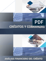 Analisis Del Credito