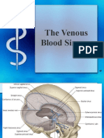 Venous Sinuses