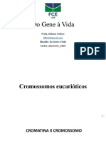 Aula 2. Cromossomo Eucariótico_parte 1