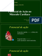 Potencial de ação no músculo cardíaco