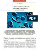 El metabolismo del hierro y la anemia ferropénica