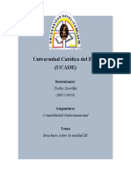 Brochure Sobre La Unidad III