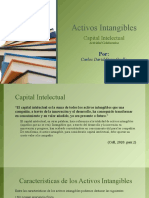 Activos intangibles: Capital intelectual