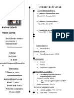 Curriculum Vitae