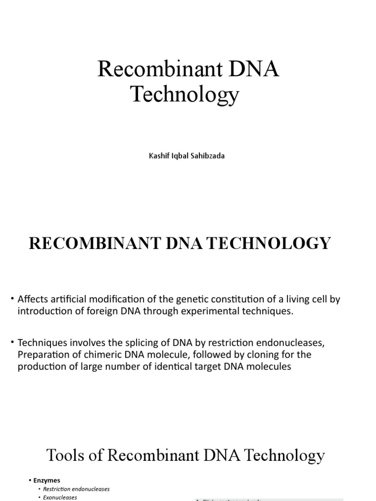Recombinant DNA Technology | PDF