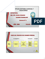 Sem 5 Peritaje