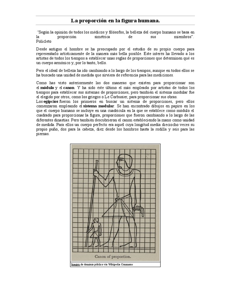 La Proporción de La Figura Humana | PDF | Longitud | Factores humanos y ...