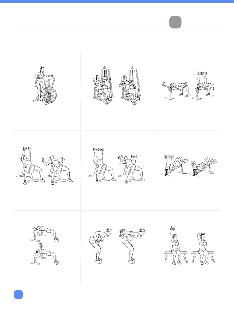Chest and Triceps PDF Musculoskeletal System Limbs (Anatomy)
