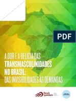 Relatório - A Dor e A Delícia Das Transmasculinidades No Brasil