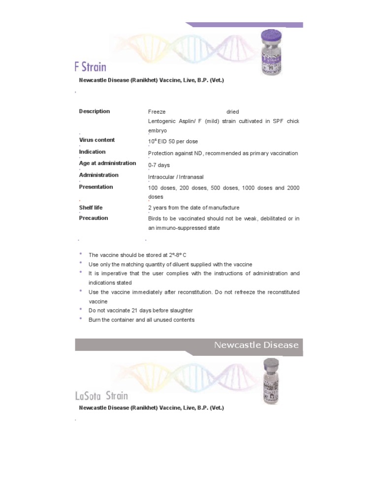 Poultry Vaccine | Vaccines | Public Health