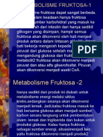 Metabolisme Fruktosa