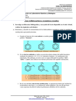 Clase 6-Hidrocarburos Aromáticos (Resuelto)