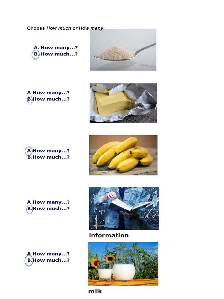 How Much - How Many | PDF | Travel | Foreign Language Studies