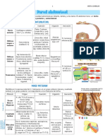 Anato Pared Abdominal y Retroperitoneo