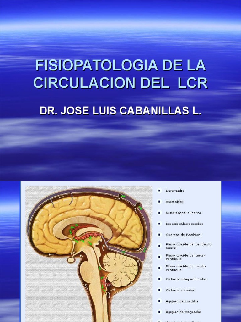 Fisiopatologia de La Circulacion Del LCR | PDF | Fluido cerebroespinal ...